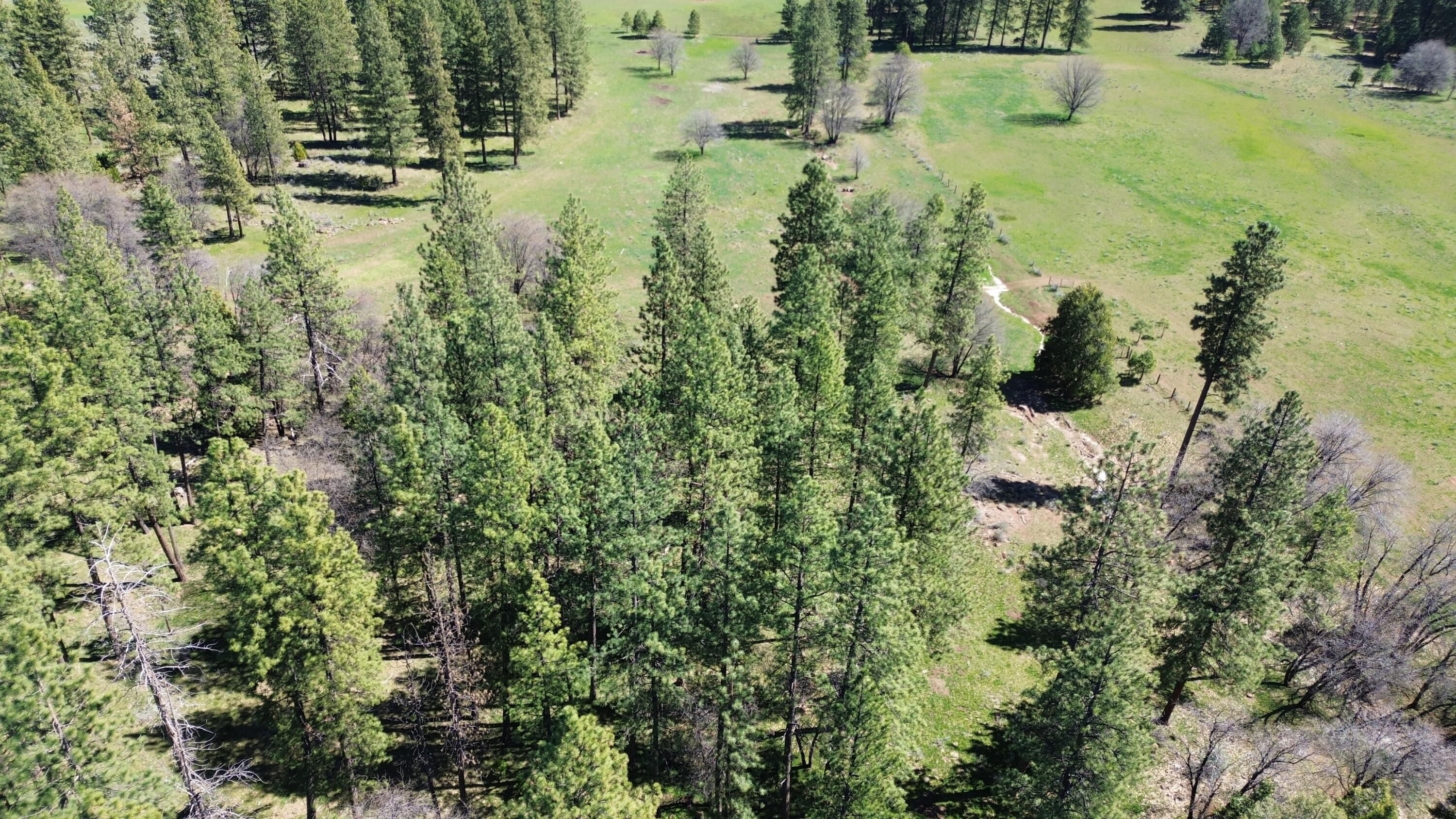 651-050 Foothill Road McArthur, CA 96056 - Photo 69 of 89 B15