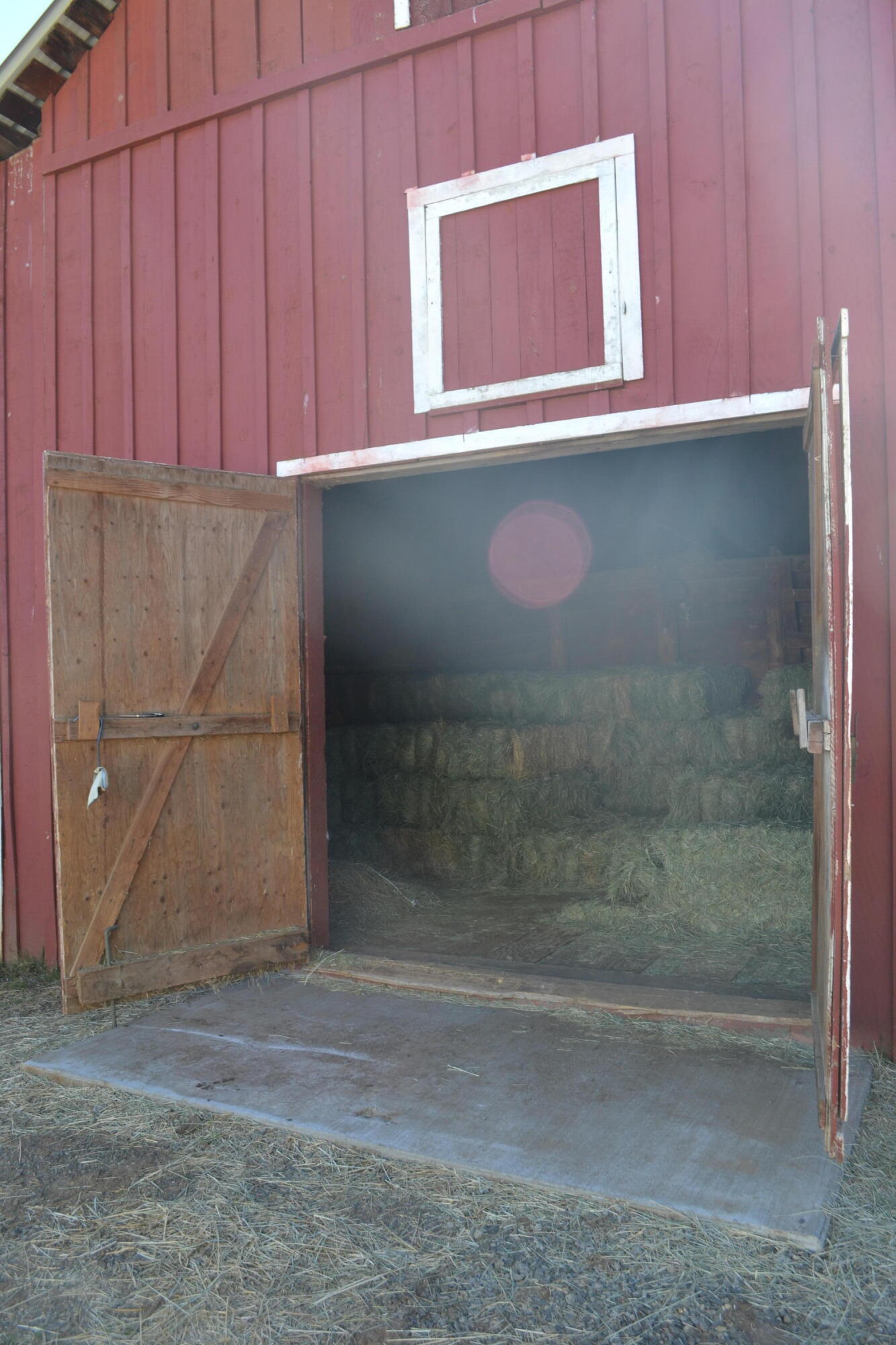651-050 Foothill Road McArthur, CA 96056 - Photo 75 of 89 BARN3