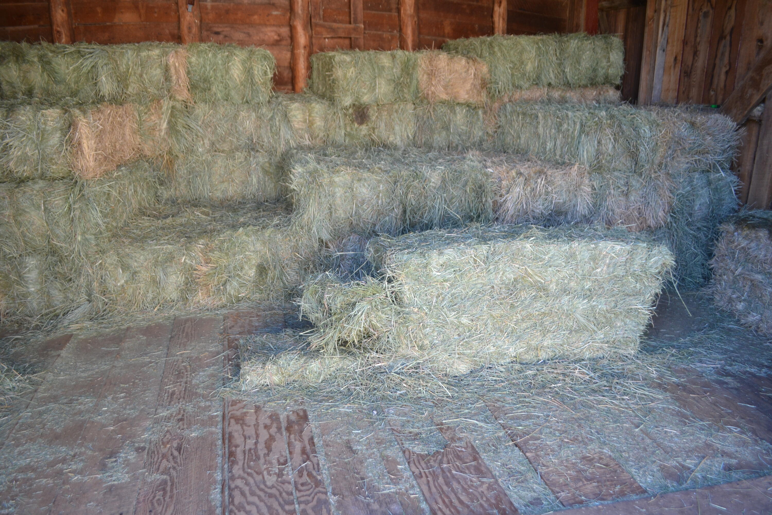 651-050 Foothill Road McArthur, CA 96056 - Photo 76 of 89 BARN7