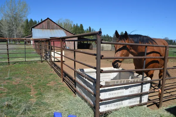 $495,000 | 651-050 Foothill Road, McArthur, CA 96056