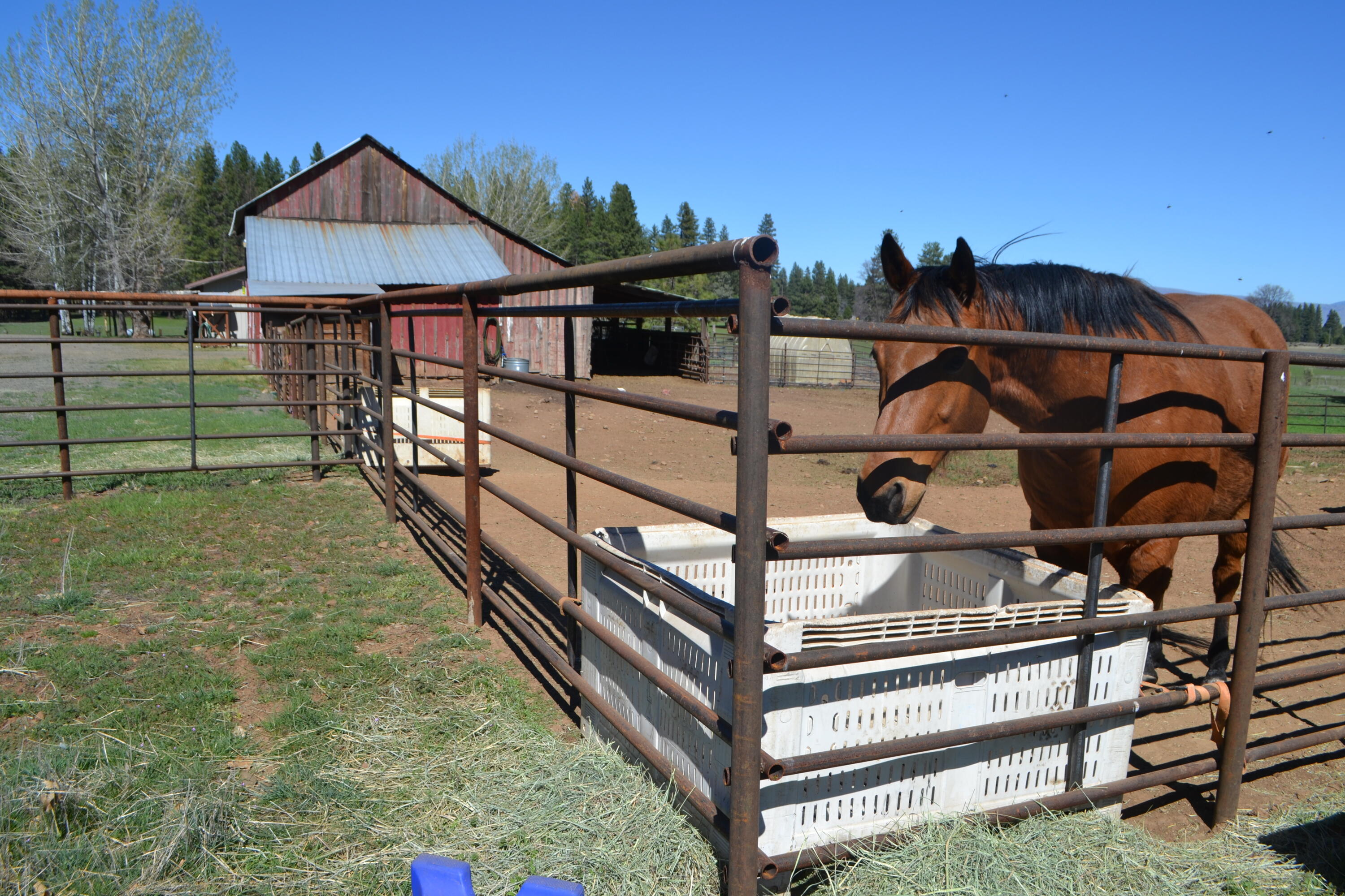 651-050 Foothill Road McArthur, CA 96056 - Photo 83 of 89 BARN16