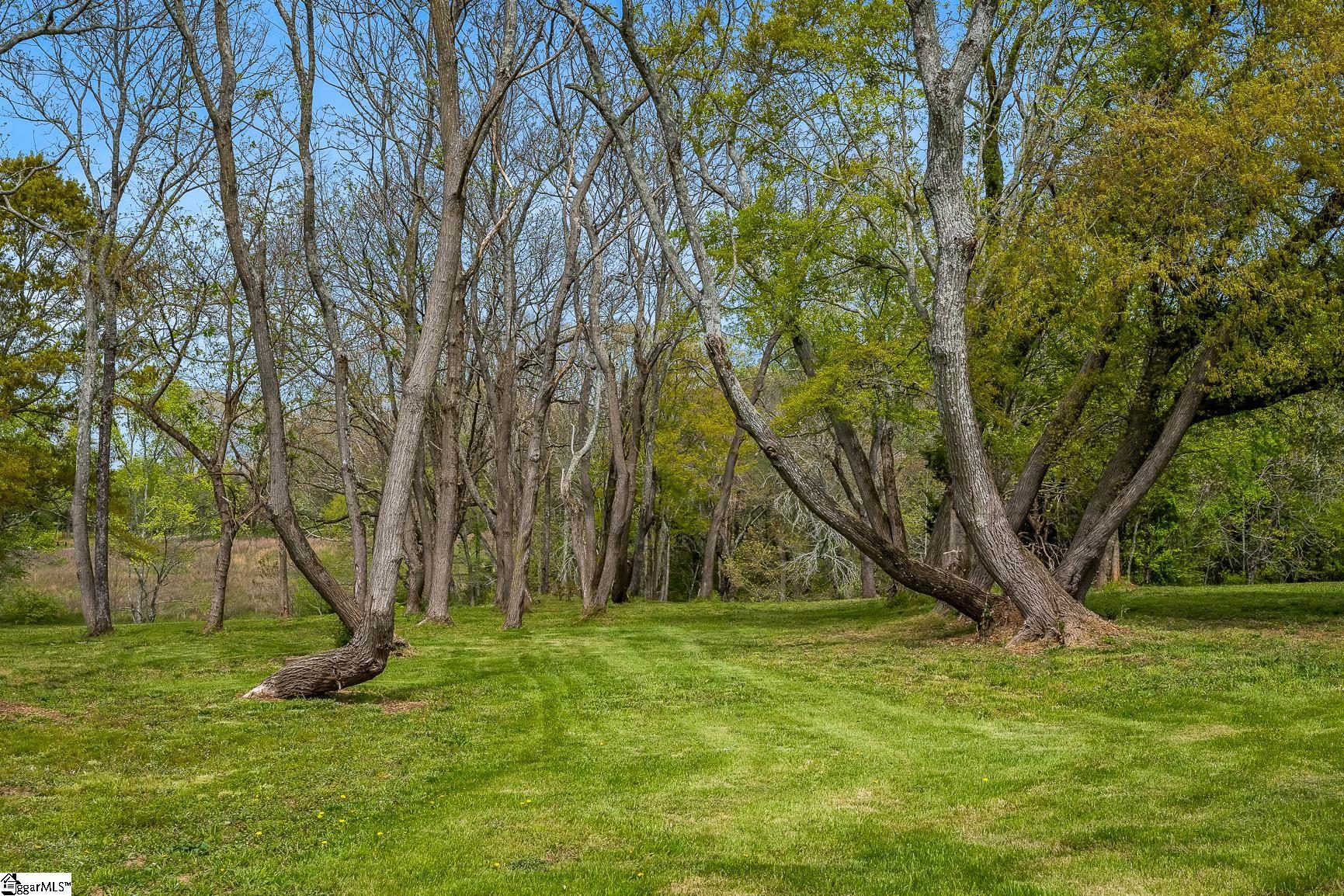 250 Martin Lane Pendleton, SC 29670 - Photo 36 of 36