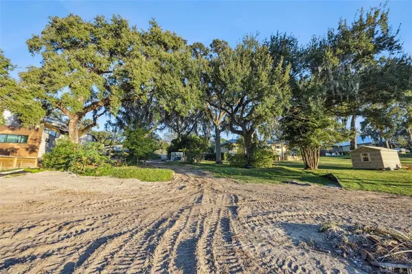 a view of a yard with plants and trees
