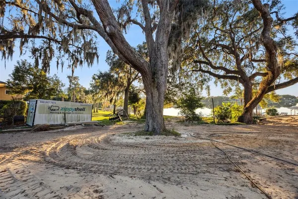 a view of a yard with trees