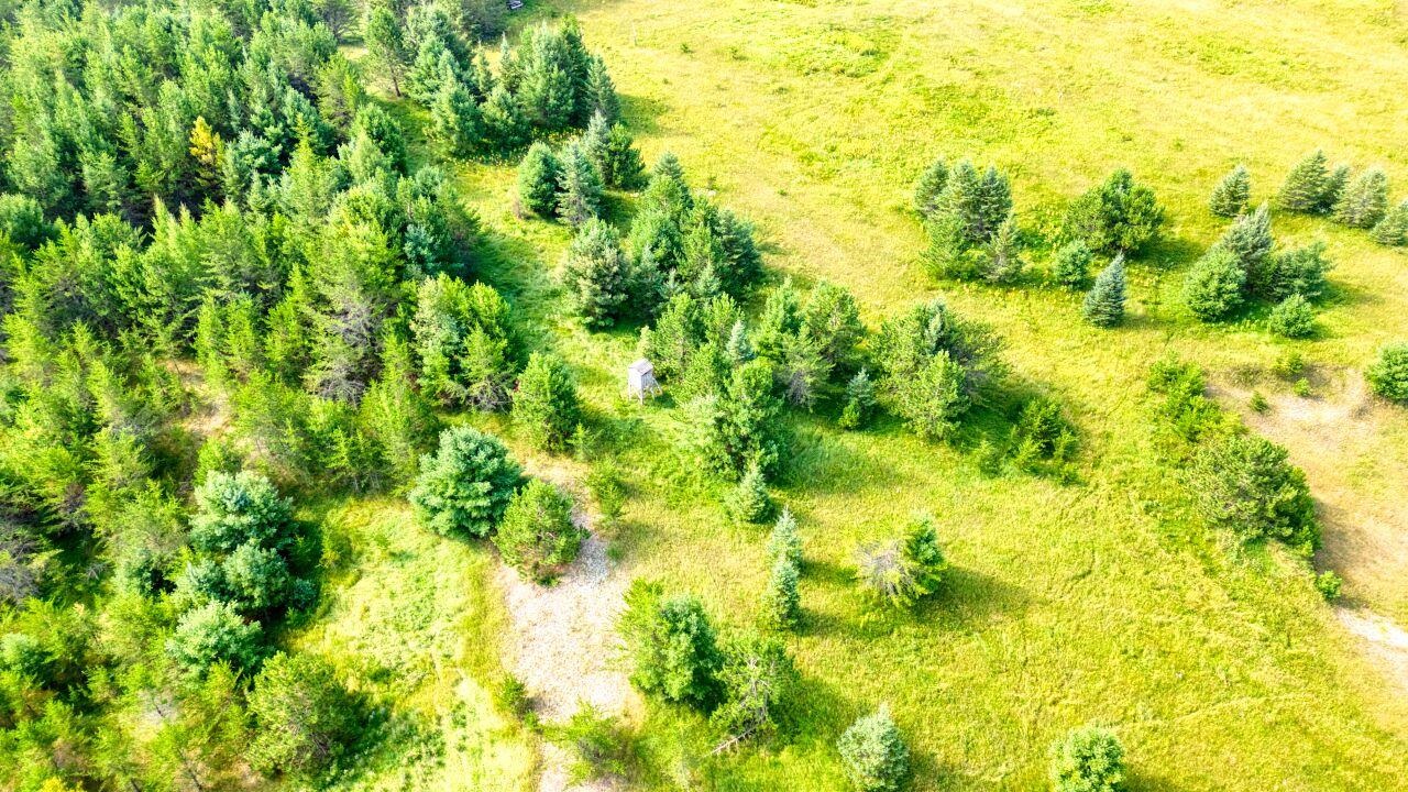 7349 Lax Road Embarrass, MN 55732 - Photo 32 of 36 Drone / aerial view