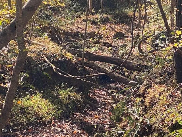 a backyard of a house