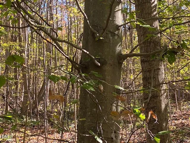a view of a swimming pool
