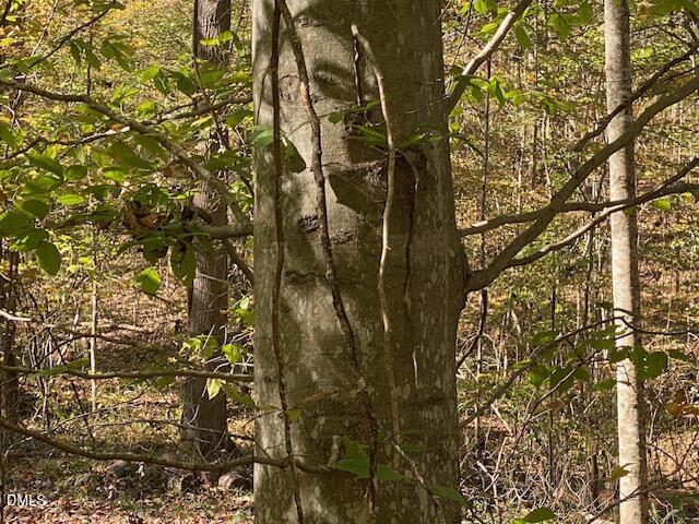 Lot 5 Sepelo Way Efland, NC 27243 - Photo 15 of 22 a picture of a tree