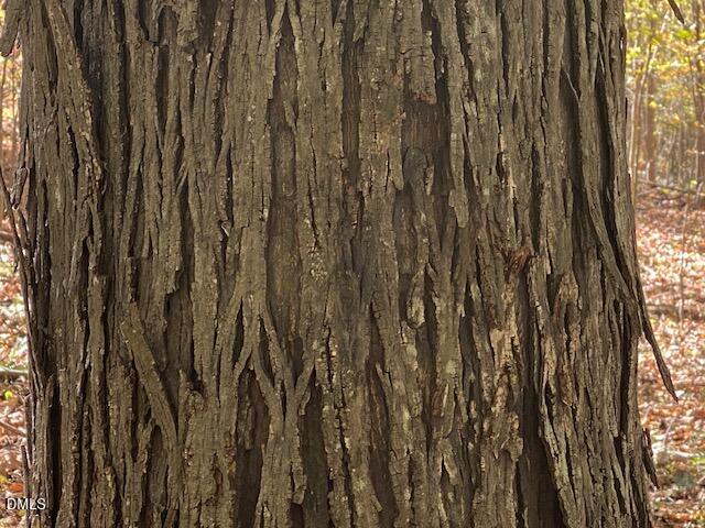 Lot 5 Sepelo Way Efland, NC 27243 - Photo 16 of 22 a close view of wooden racks