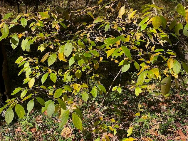 a close up of a sink