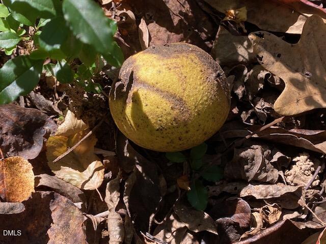Lot 5 Sepelo Way Efland, NC 27243 - Photo 18 of 22 a view of a swimming pool