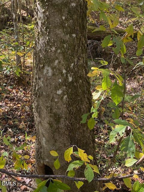 Lot 5 Sepelo Way Efland, NC 27243 - Photo 19 of 22 a view of a yard
