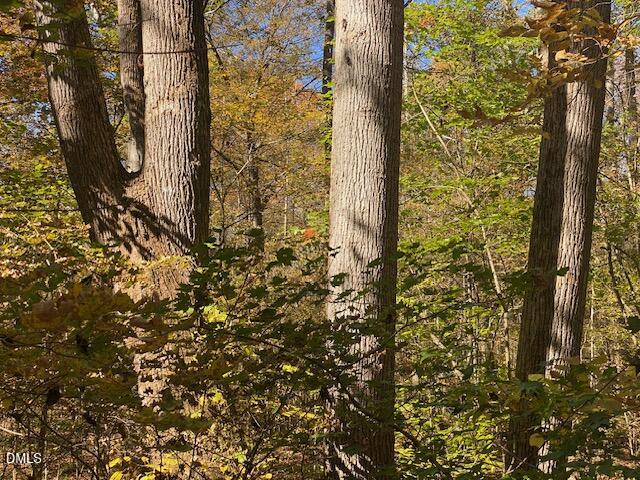 Lot 5 Sepelo Way Efland, NC 27243 - Photo 2 of 22