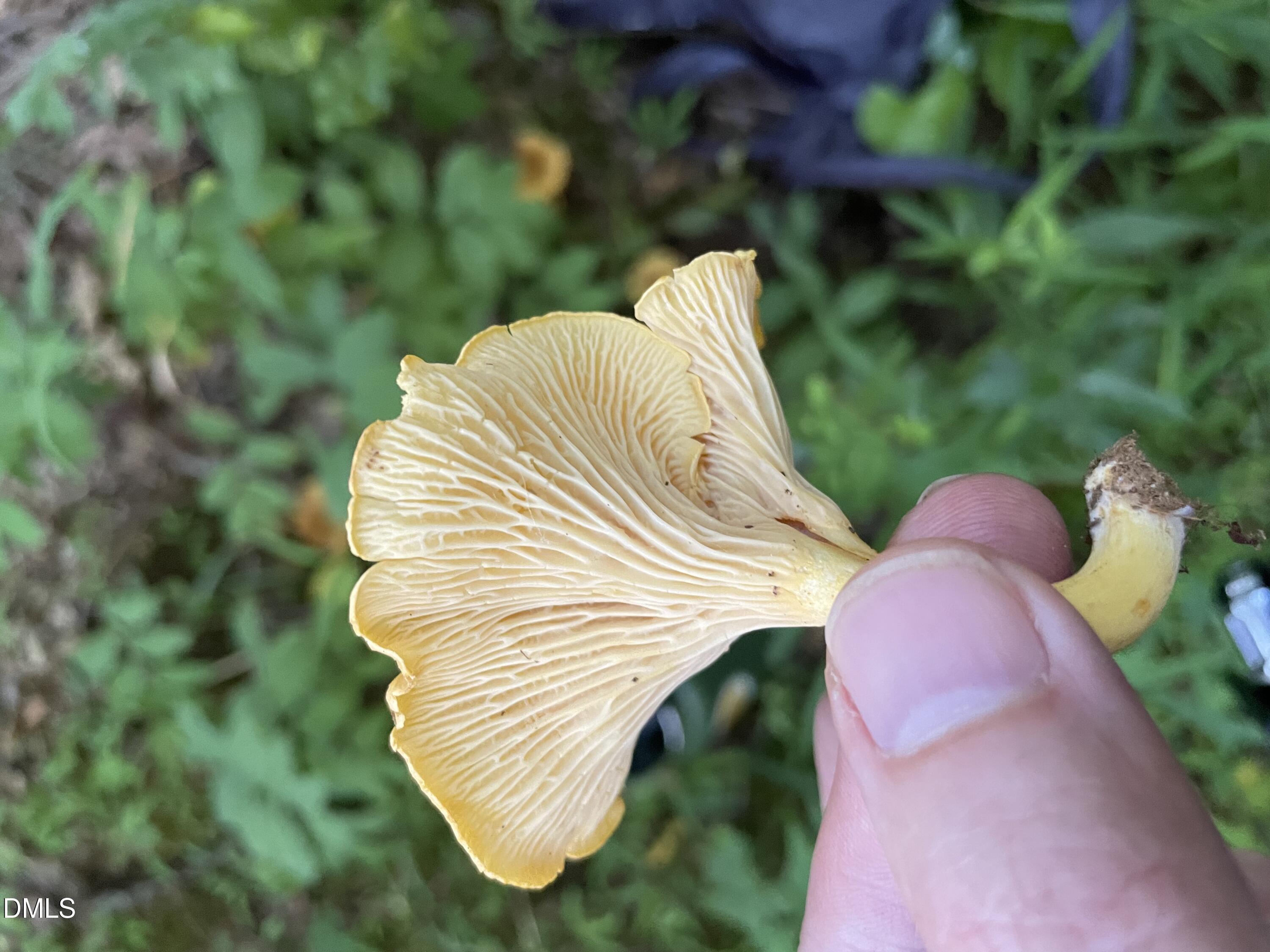 Lot 5 Sepelo Way Efland, NC 27243 - Photo 21 of 22 a close up of a sink