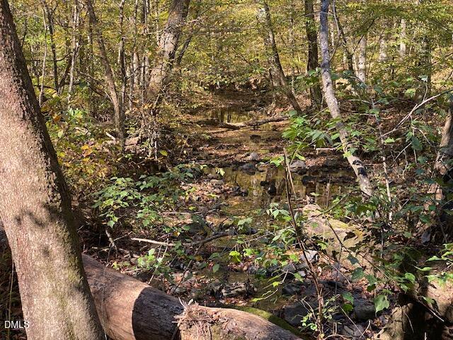 Lot 5 Sepelo Way Efland, NC 27243 - Photo 22 of 22 a view of outdoor space and a yard