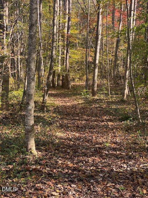 Lot 5 Sepelo Way Efland, NC 27243 - Photo 6 of 22 a view of door with trees