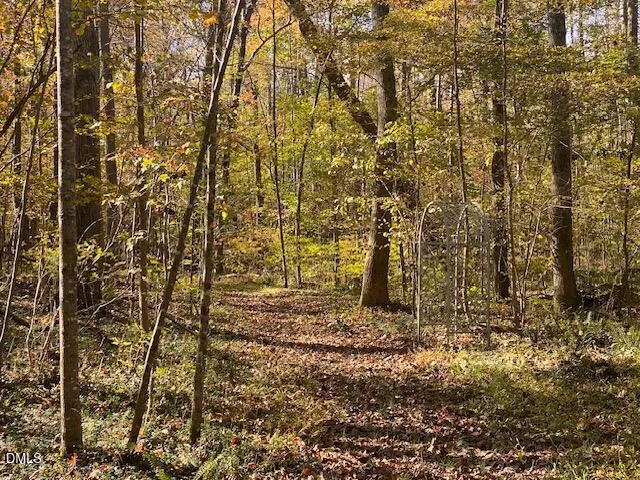 a plant with a plant