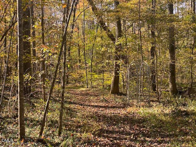 Lot 5 Sepelo Way Efland, NC 27243 - Photo 7 of 22