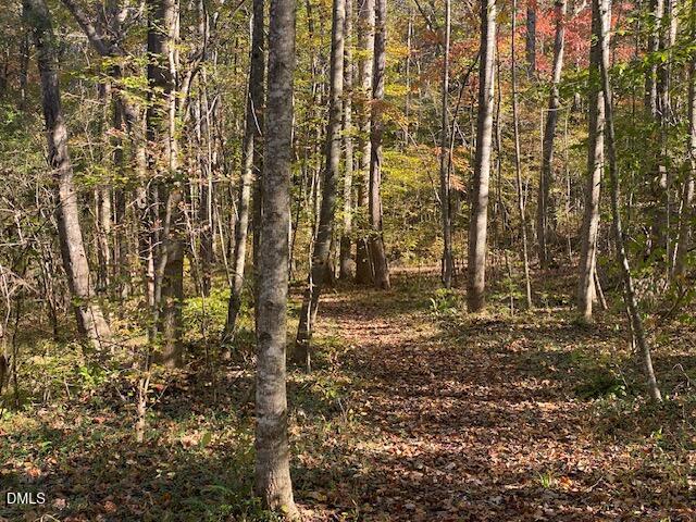 Lot 5 Sepelo Way Efland, NC 27243 - Photo 8 of 22 a bathroom with a shower