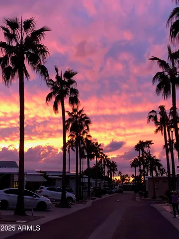 an ocean view with palm trees