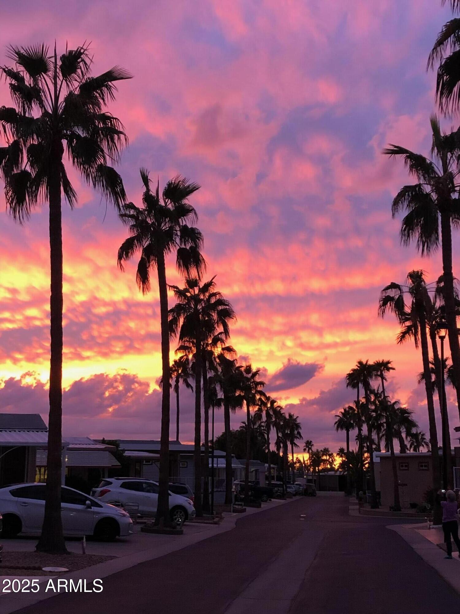 1374 West Chesapeake Avenue Apache Junction, AZ 85119 - Photo 27 of 33 a view of a yard with a tree