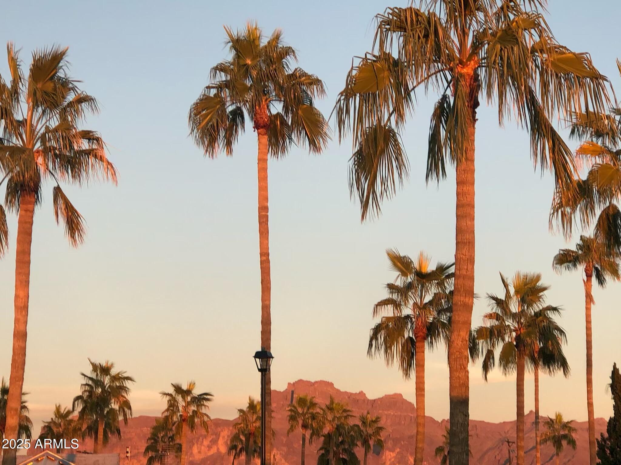1374 West Chesapeake Avenue Apache Junction, AZ 85119 - Photo 29 of 33 an ocean view with palm trees