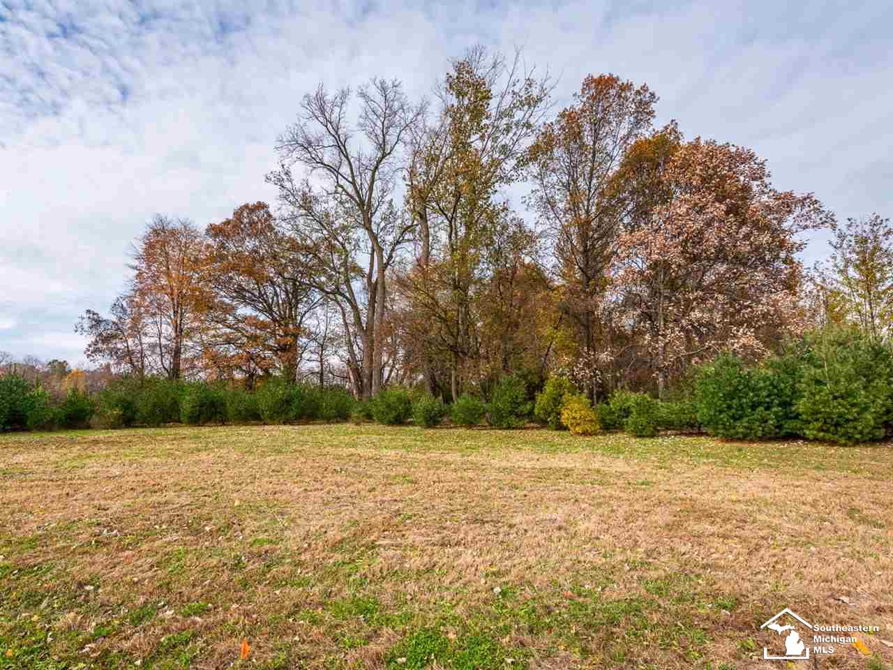0 Meanwell Road Dundee, MI 48131 - Photo 14 of 19