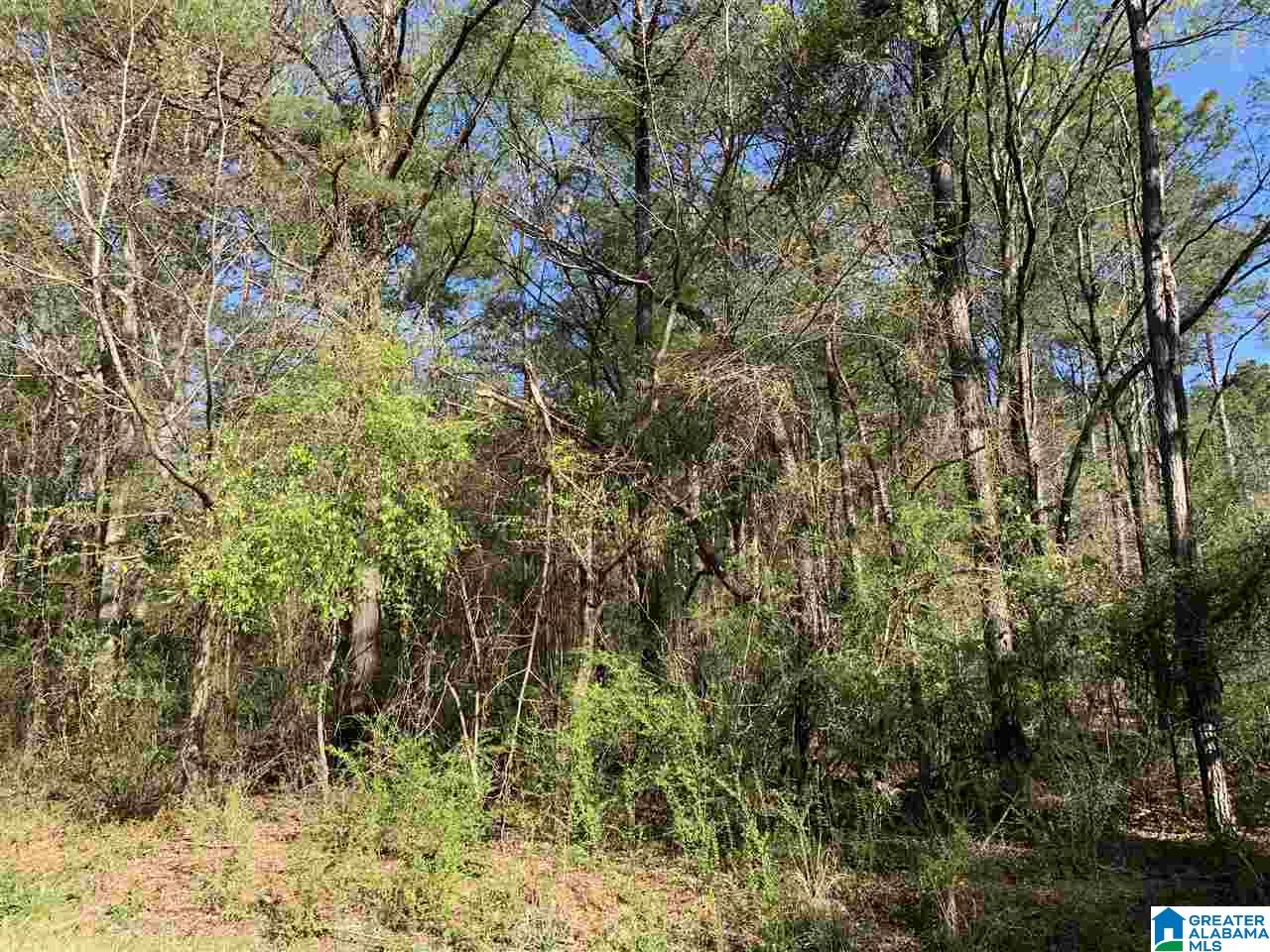 400 Valley Road, Unit 10 Talladega, AL 35160 - Photo 3 of 5