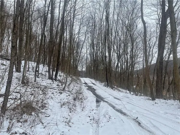 a view of a backyard of snow