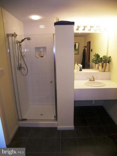 1721 Brookshire Run Point of Rocks, MD 21777 - Photo 22 of 30 a bathroom with a shower a sink and a mirror