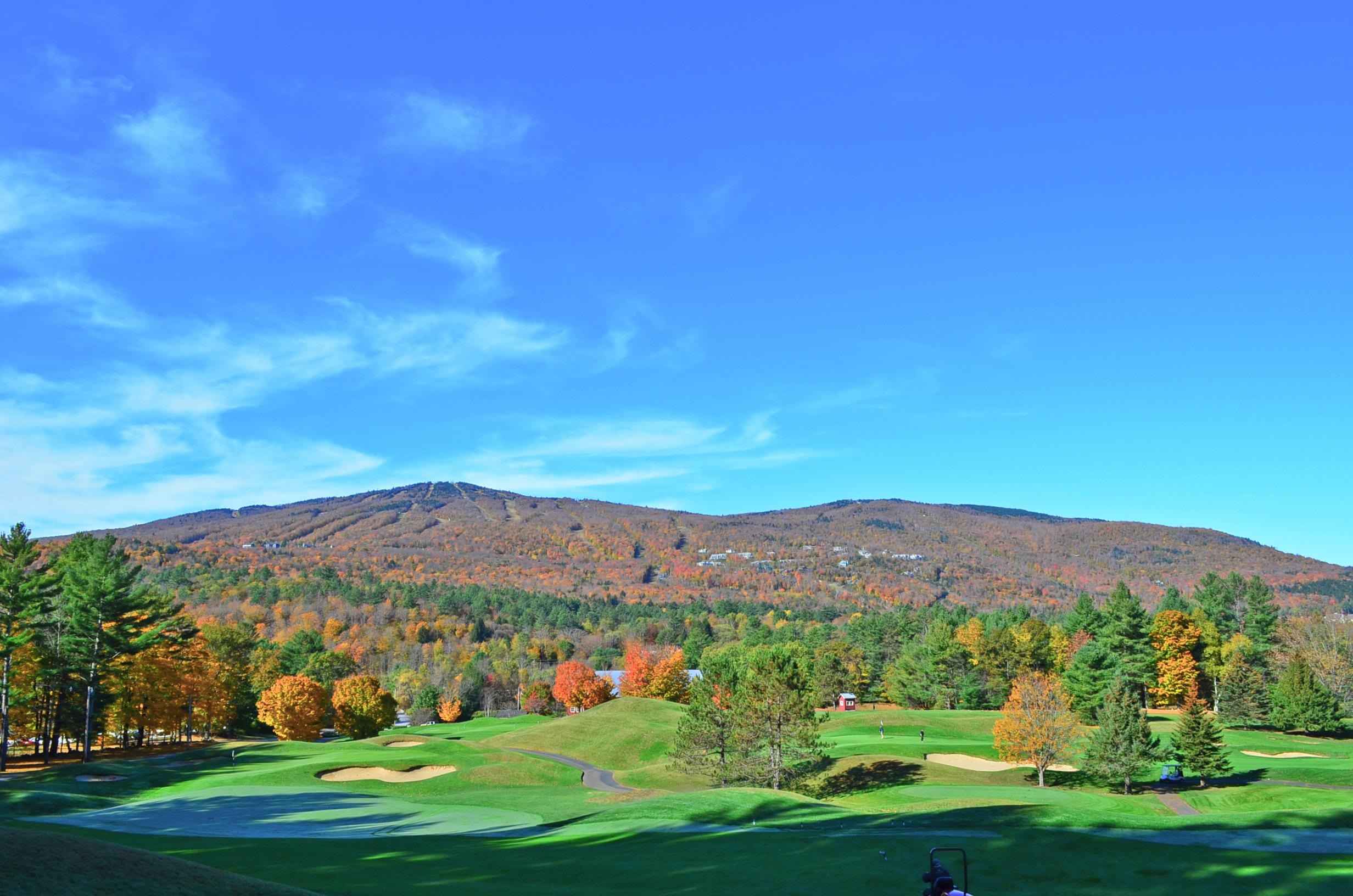306 Yale Road Mount Holly, VT 05730 - Photo 53 of 56