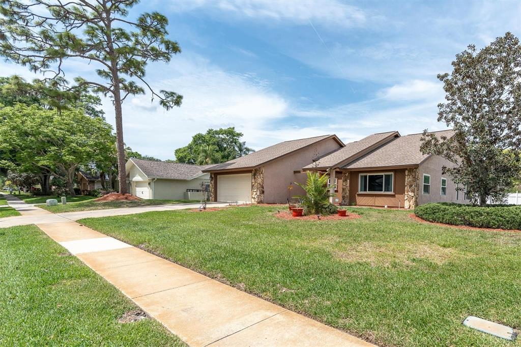 3405 Brian Road South Palm Harbor, FL 34685 - Photo 33 of 37