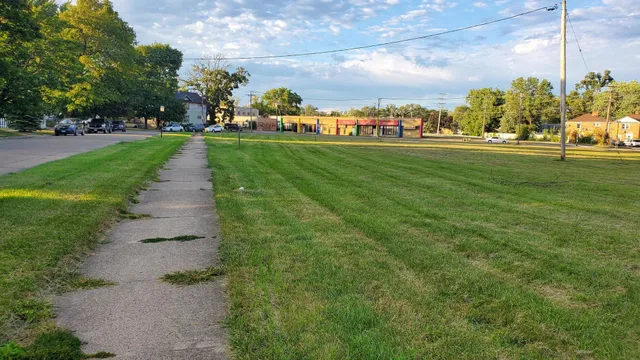 a view of a park with large trees