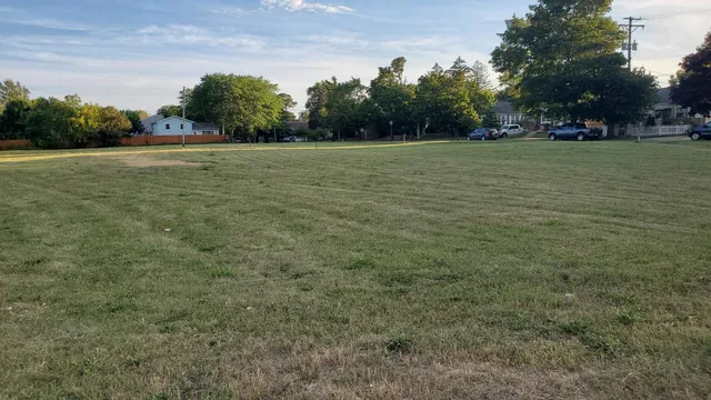 a view of a field with trees in the background