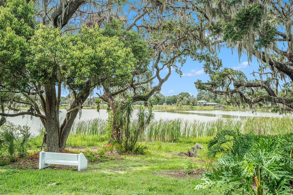 14050 Blackjack Road Dover, FL 33527 - Photo 37 of 44
