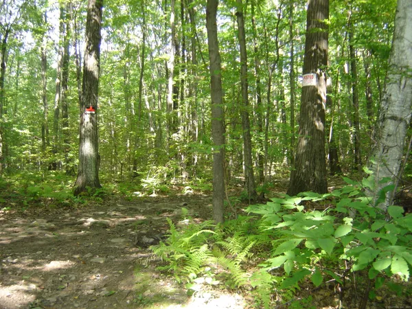 $200,000 | 0 Porter Road, Ellington, CT 06029