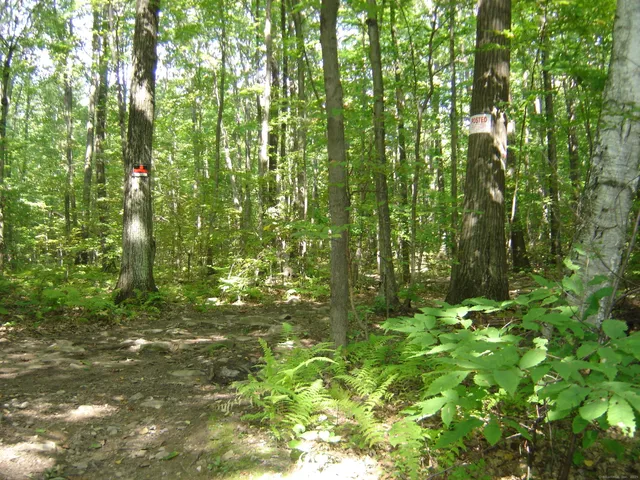 $200,000 | 0 Porter Road, Ellington, CT 06029