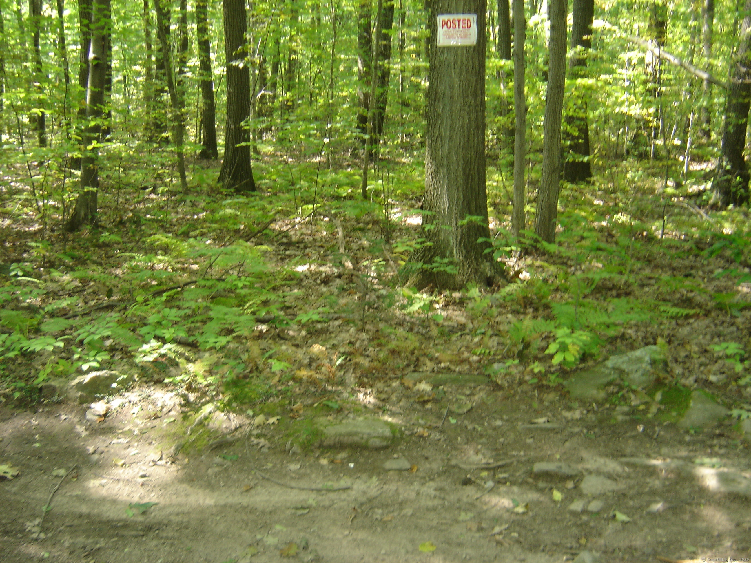 0 Porter Road Ellington, CT 06029 - Photo 4 of 13 a view of a garden