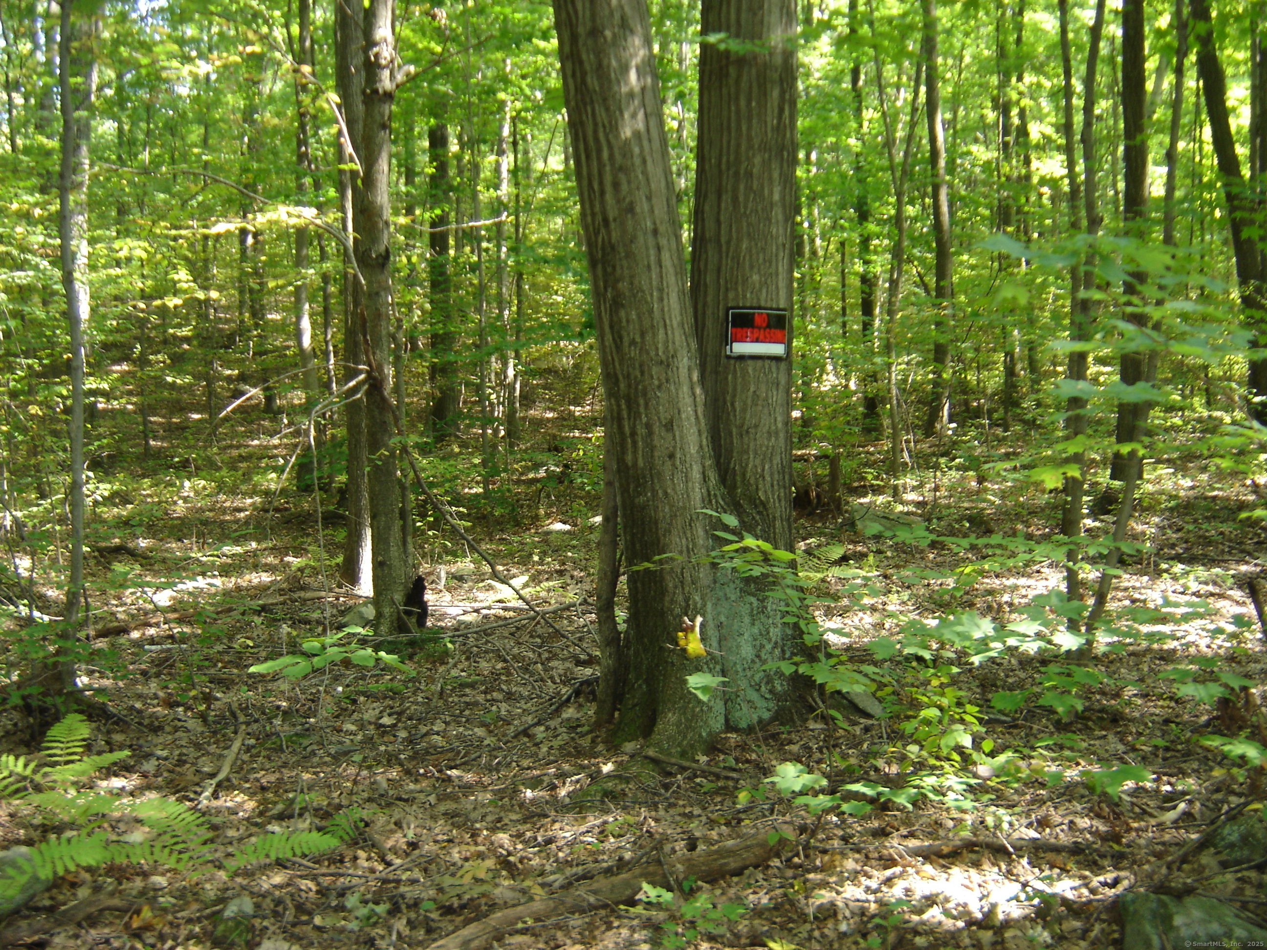 0 Porter Road Ellington, CT 06029 - Photo 5 of 13 a view of a garden