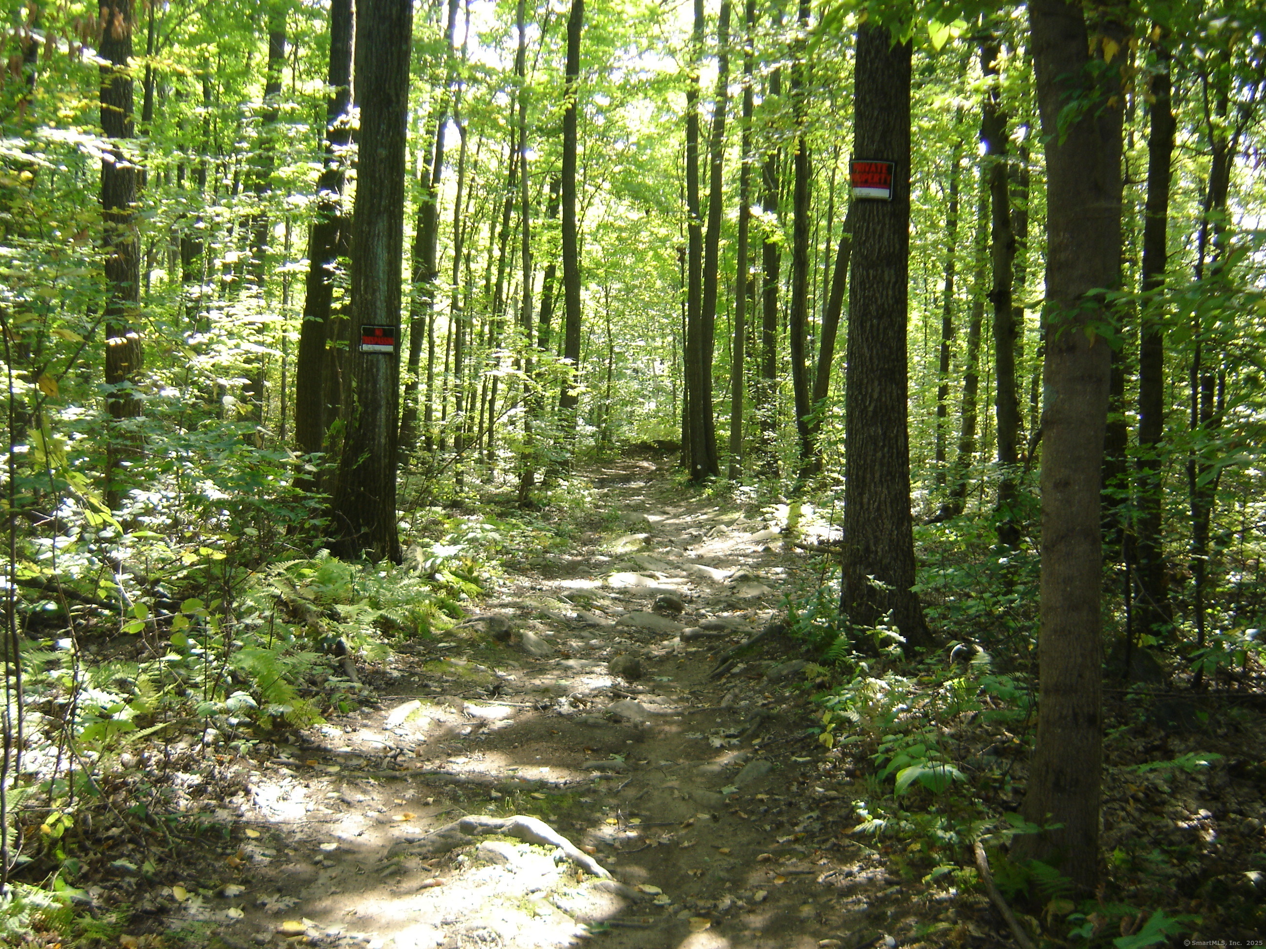 0 Porter Road Ellington, CT 06029 - Photo 6 of 13 a view of forest