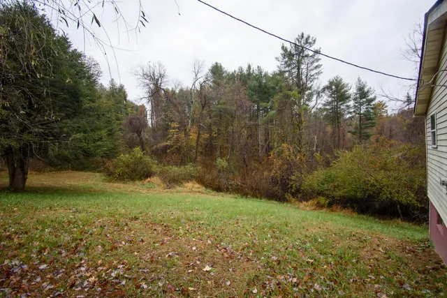 a view of a yard with a tree