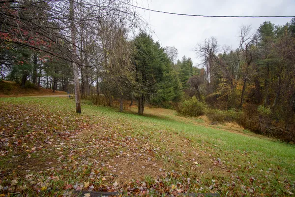 a view of a yard with a tree