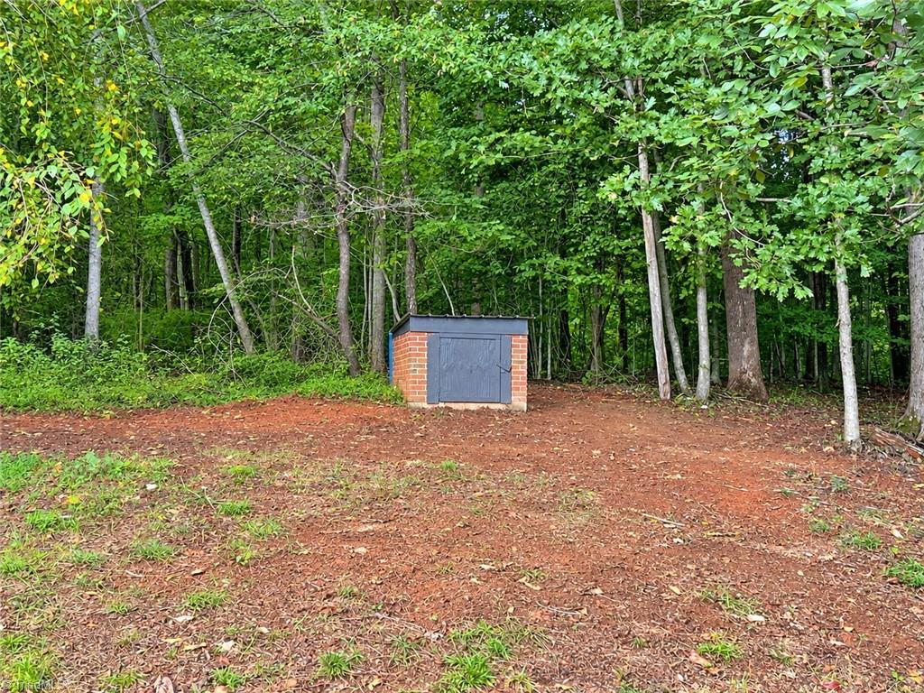 526 Hoover Mountain Road Purlear, NC 28665 - Photo 25 of 26 Well