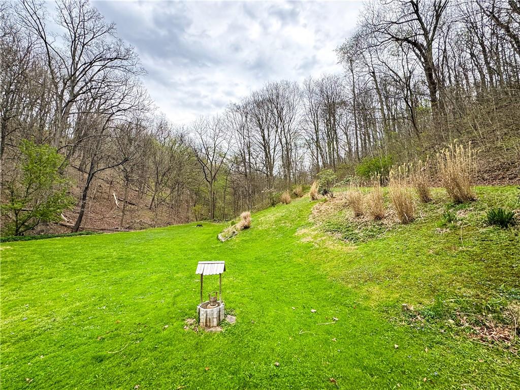 125 McGrew Road Clairton, PA 15025 - Photo 3 of 25 a backyard of a house with lots of green space