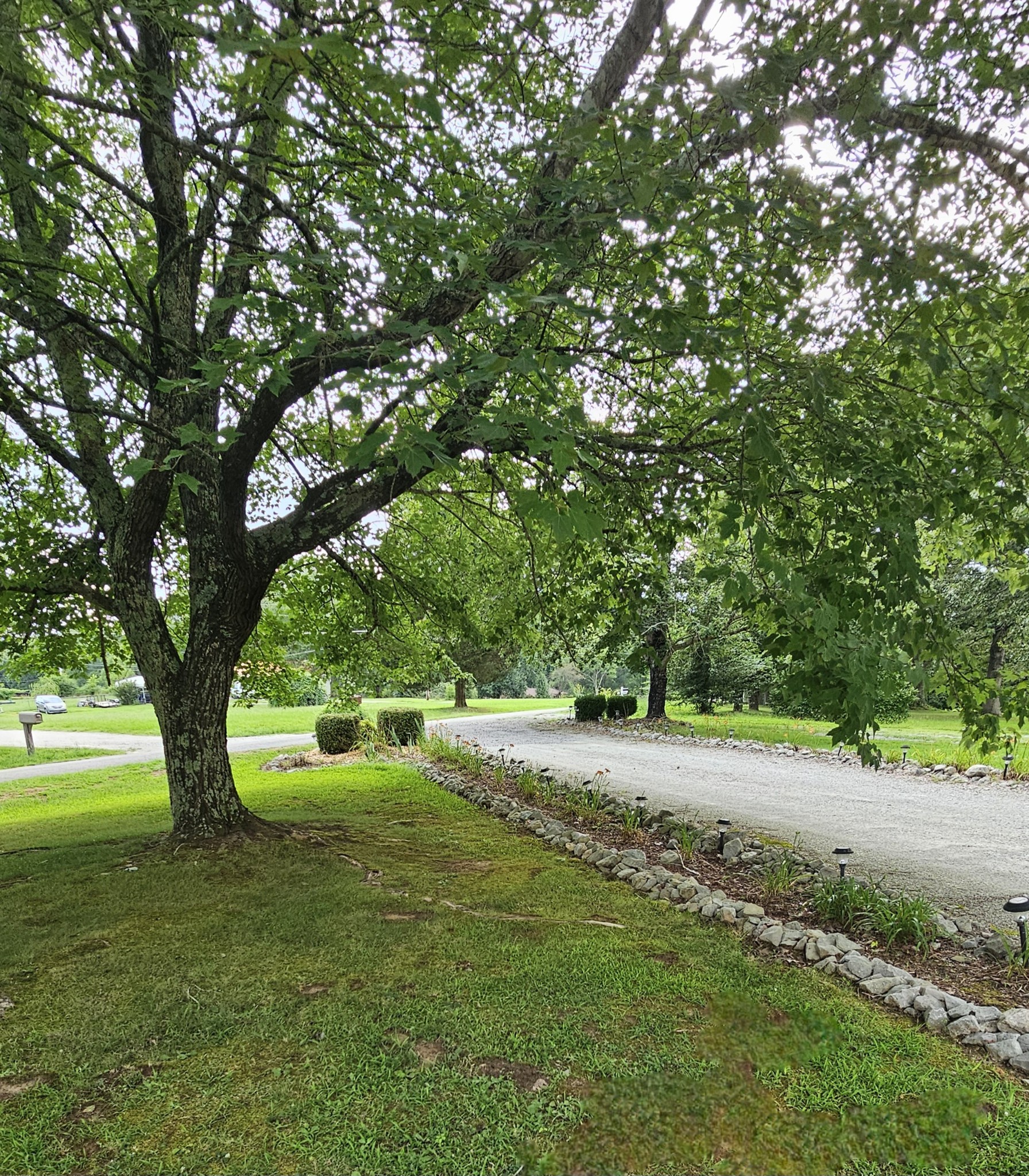 1797 Link Road New Johnsonville, TN 37134 - Photo 12 of 35