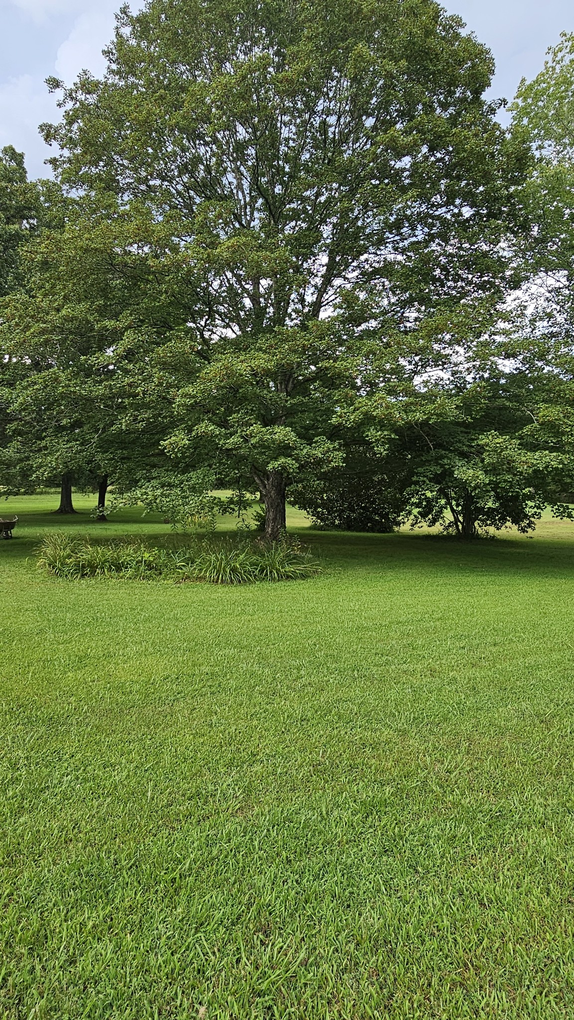 1797 Link Road New Johnsonville, TN 37134 - Photo 15 of 35