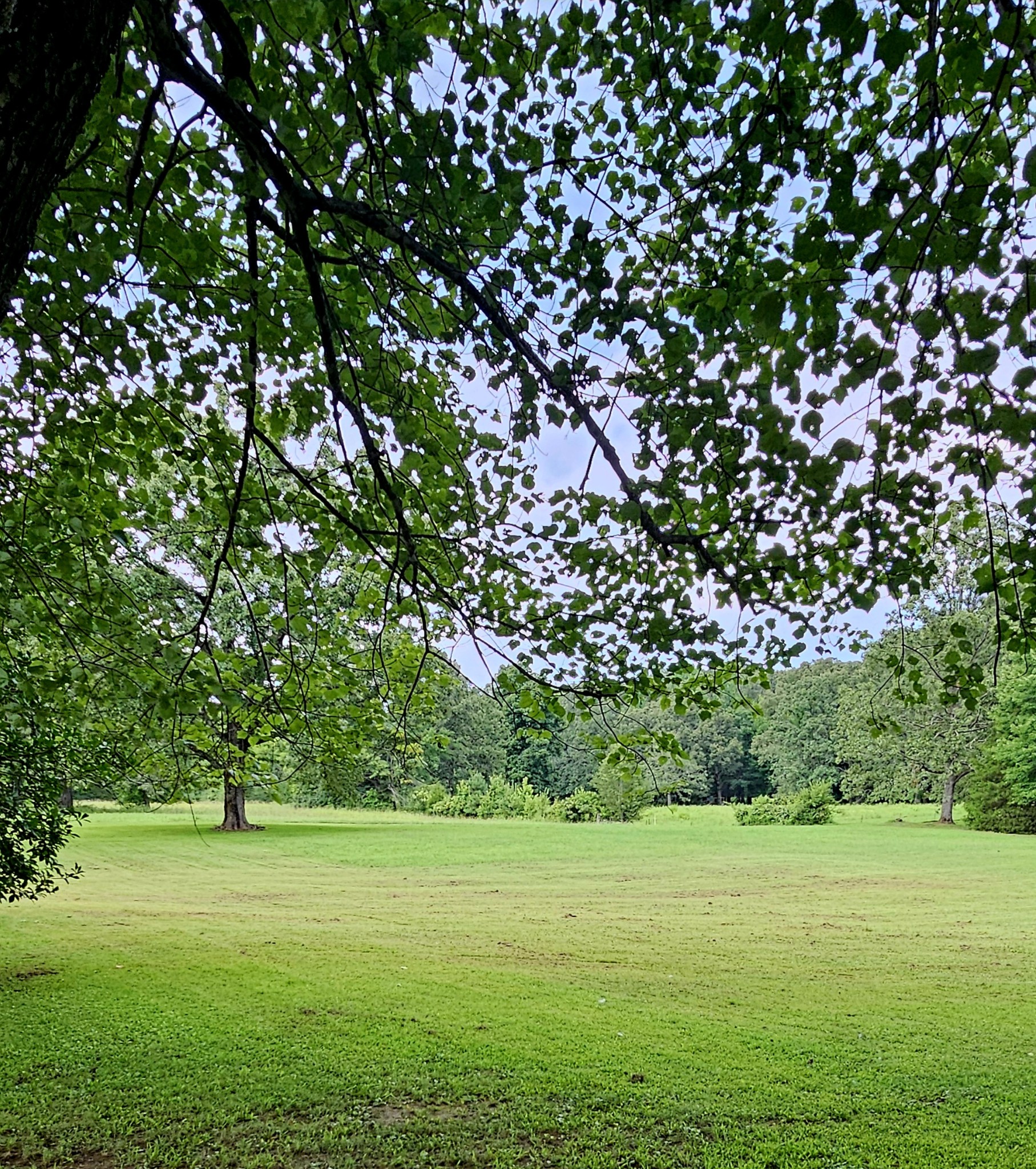 1797 Link Road New Johnsonville, TN 37134 - Photo 16 of 35