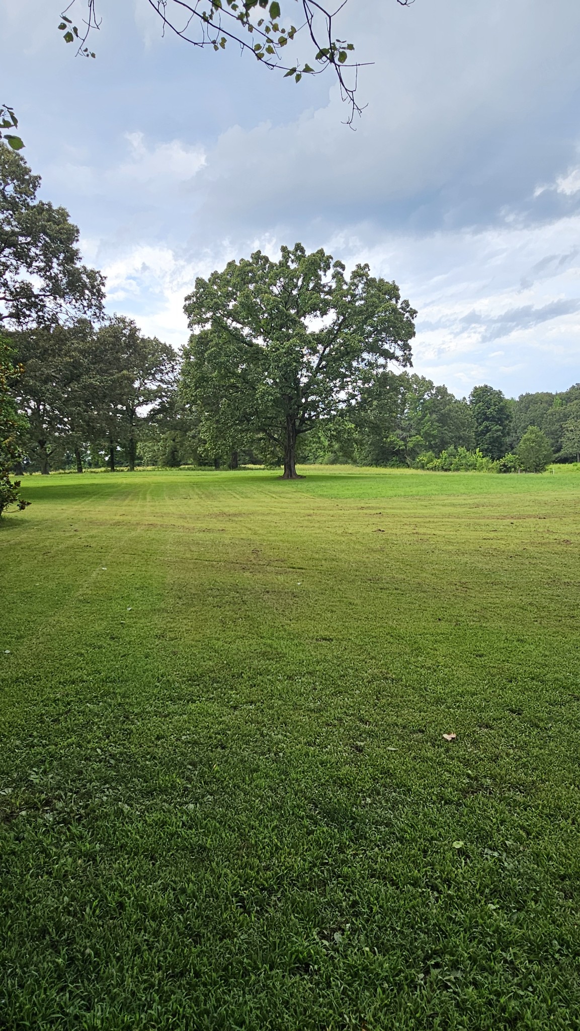 1797 Link Road New Johnsonville, TN 37134 - Photo 17 of 35