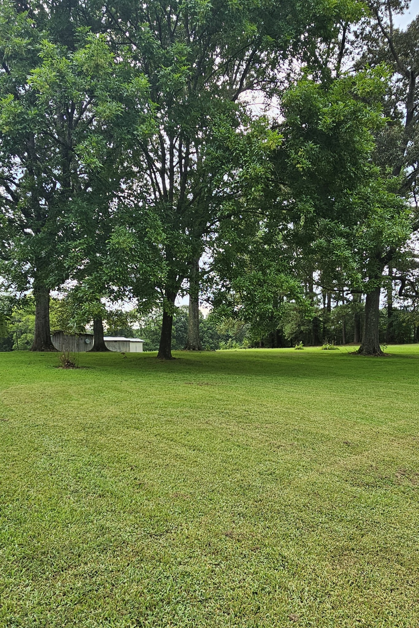 1797 Link Road New Johnsonville, TN 37134 - Photo 18 of 35