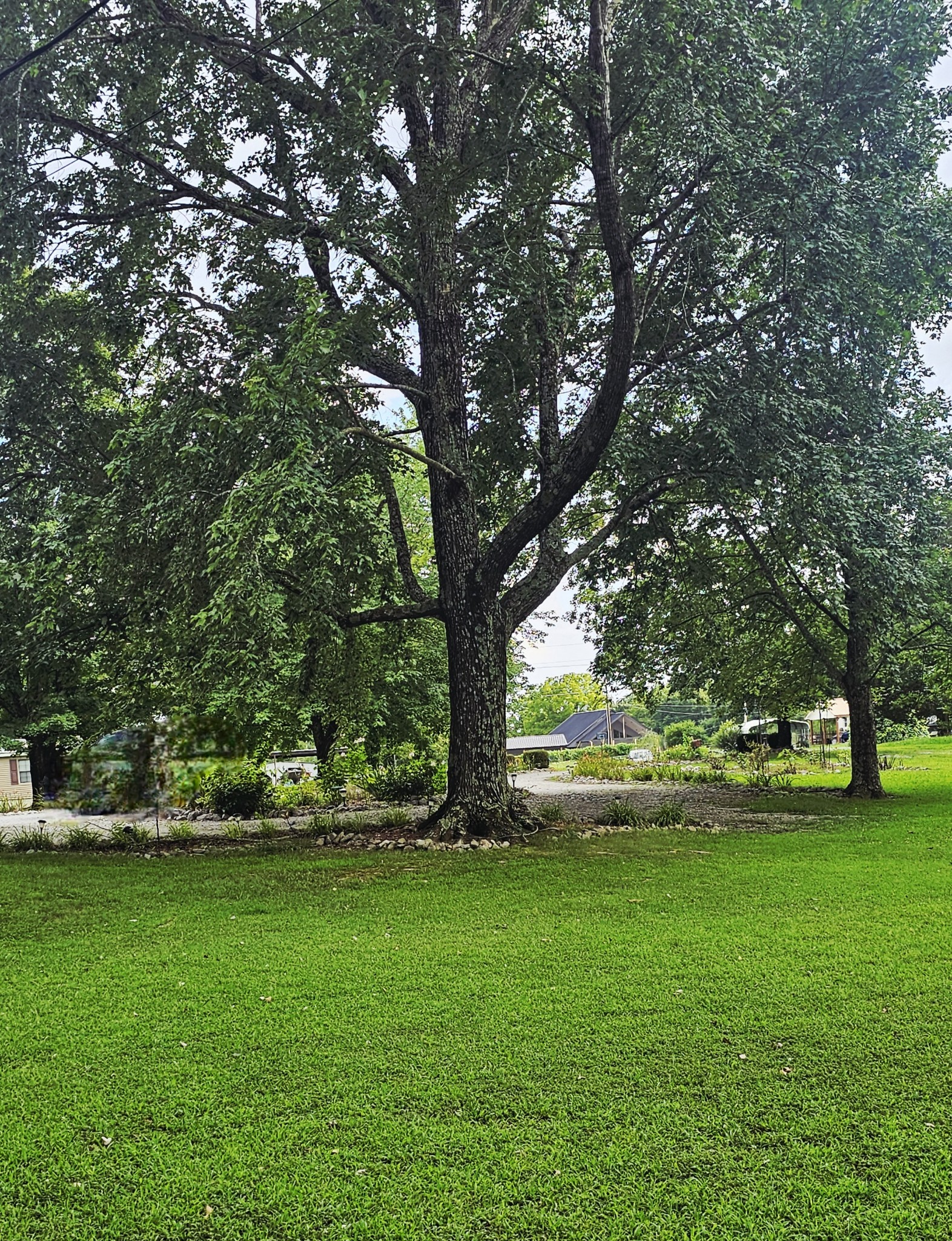 1797 Link Road New Johnsonville, TN 37134 - Photo 19 of 35